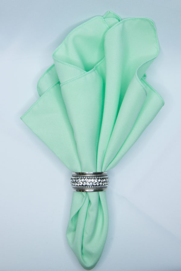 Mint Polyester Linen