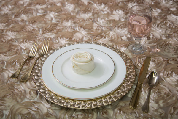 White China with Gold Rim