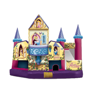 Disney Princess Combo - Bounce House Rentals