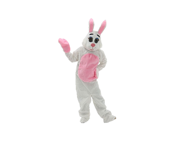 Easter Bunny Rental