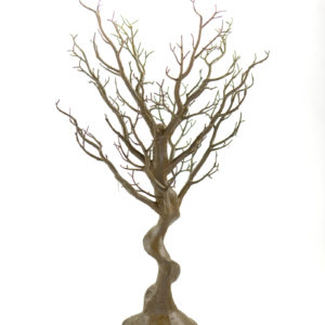 30" Chocolate Manzanita Tree