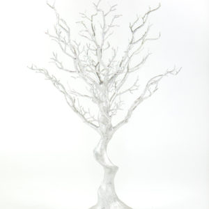 30" Silver Manzanita Tree